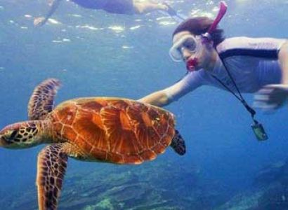 Diglipur North Andaman Excursion Tour