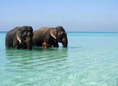 Andaman Island Backpacking Tour