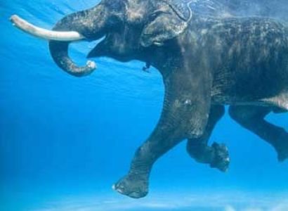 Andaman Extreme For 12 Nights And 13 Days Tour