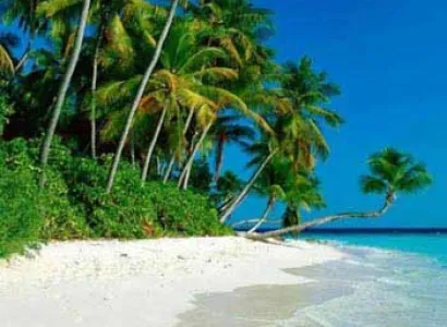 North and South Goa Tour