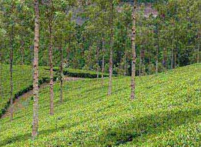 Ctreatik Packages Tour