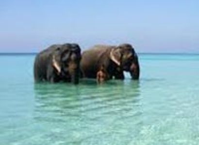 Andaman Havelock Tour