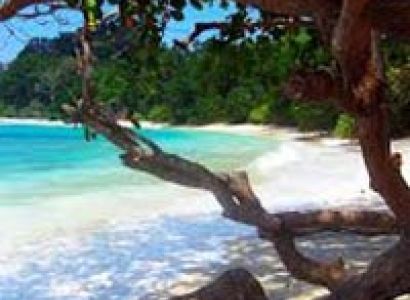 Experience Andaman Tour