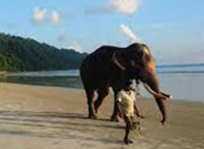 Splendid Andaman Island Tour