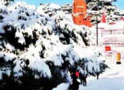 Charming Shimla Manali Tour
