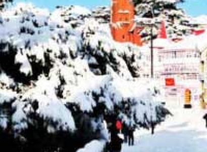 Charming Shimla and Manali Tour