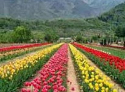 Beautiful Kashmir Trip Tour