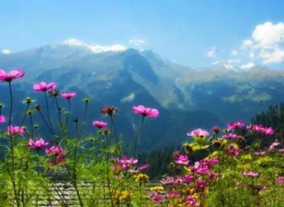 Kashmir Sojourn Trip Tour