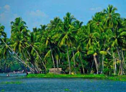 Kerala Backwater Tour in Alleppey