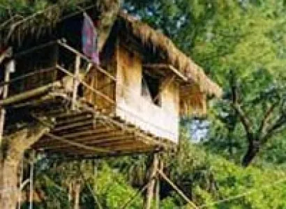 Periyar Tour with Treehouse