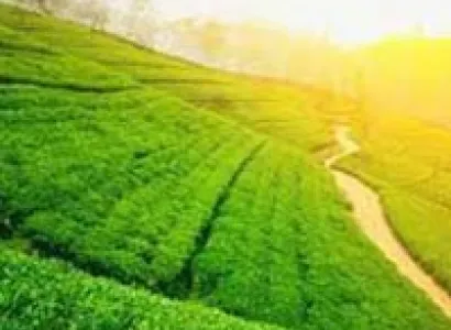 Short Escape to Wayanad Tour