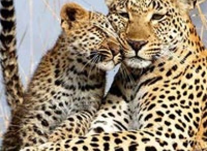 Delightful South Africa Tour