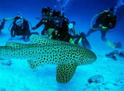 Group Package 4 Nights & 5 Days