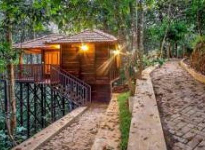 02 NIGHTS / 03 DAYS WAYANAD WITH THE TURMERICA ( TREE HOUSE ) TOUR PACKAGE