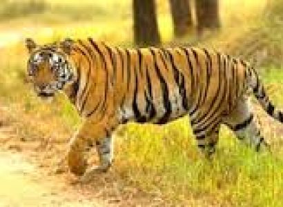 5 Days Package_Gems of Kerala