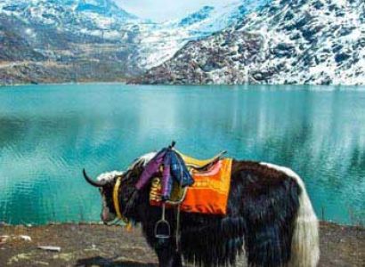 Gangtok Package