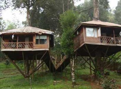 7 Days Alleppey & Kochi Budget Tour Package