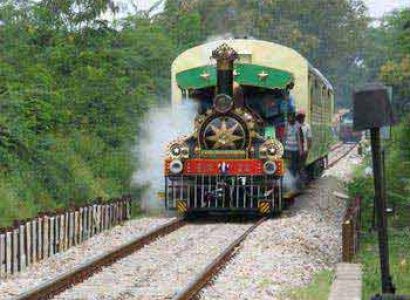 Fairy Queen Train Tour