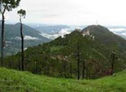 Barog Tour from Delhi Package