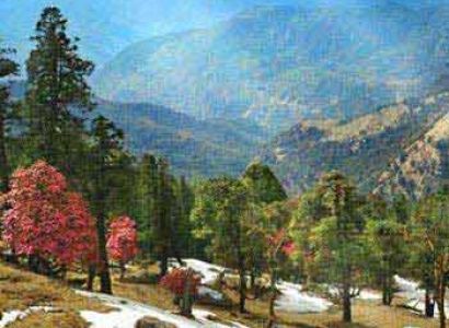 Kausani Nainital Lake Tour