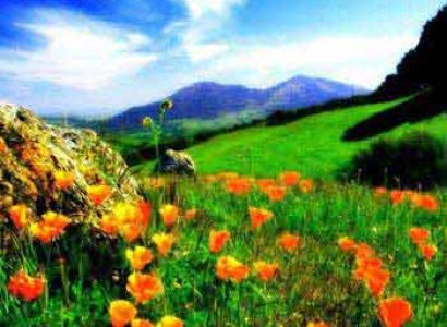 Valley of Flowers Trekking Package