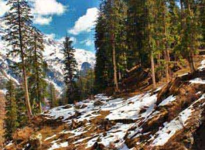 Binsar Trekking Package