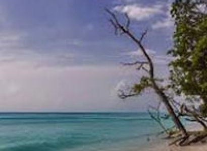 Andaman Tour Package