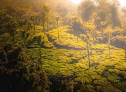 EXOTIC MYSORE & COORG