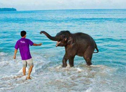 Port Blair-havelock Tour Package