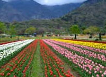 Panoramic Kashmir Tour