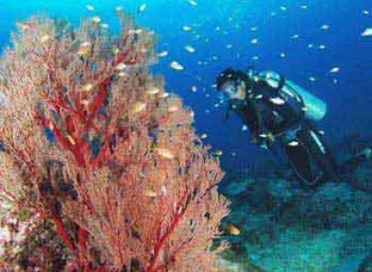 Andaman Havelock Neil Escapade Tour