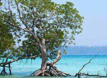 Andaman Remarkable Tour