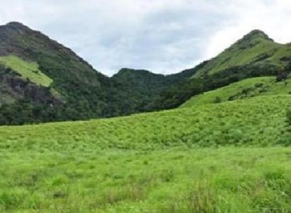 Short Escape to Wayanad Package
