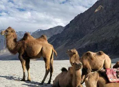 The Breathtaking Ladakh Package