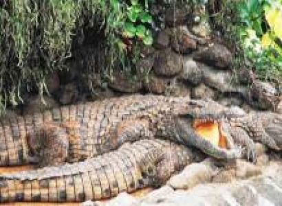 Southern Tales Tour: Full Day Tour Including Crocodile Park & Seven Coloured Earth