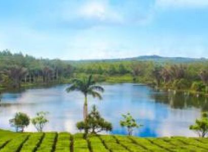 Southern Treasures: Full Day Tour including Tea Route, Seven Coloured Earth & Waterfalls