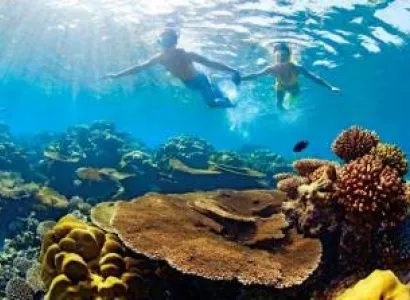 Spectacular Catamaran Trip to Ile Aux Cerfs Including Undersea Walk, Lunch & Grse