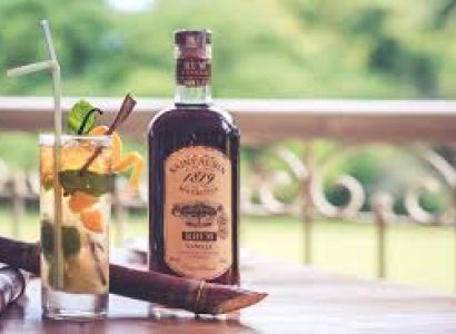 The Wild South: Full Day Tour including Rhumerie de St Aubin & Bois Cheri Tea Route