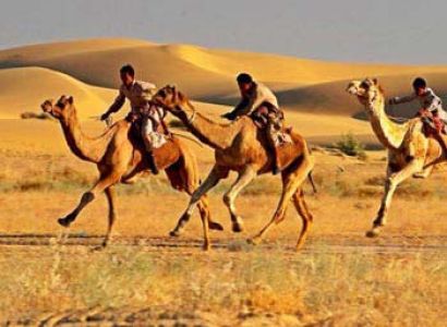 Rajasthan Desert Safari Toutr