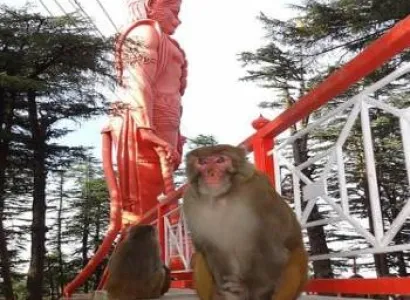 Best of Himachal Tour