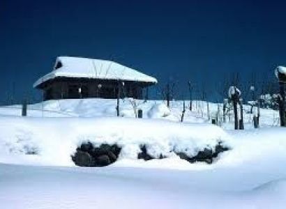 Srinagar 4 Nights Honeymoon Package