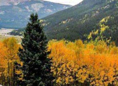 Colorado Backcountry Discovery Route Tour