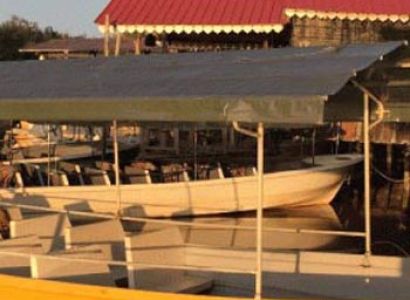 Weston Wetland & River Cruise Tour