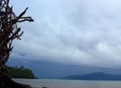 Game Fishing Trip to Cinque Island Tour