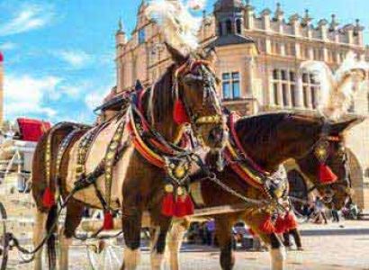 Poland Pilgrimage Tour