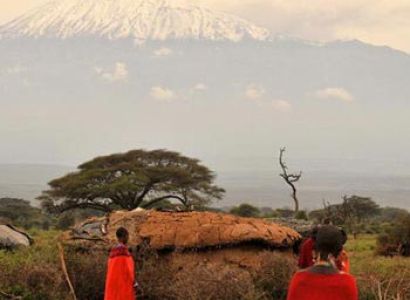 Kenya Safari Tours
