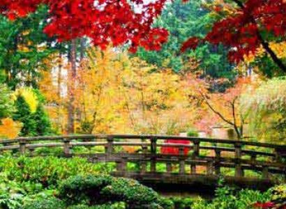 Beautiful Kashmir Tour