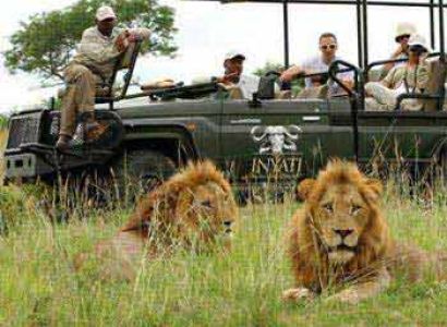 Kruger Safari - Cape Town - Luxury Rovos Rail Train Tour