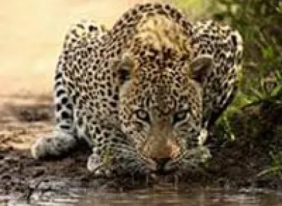 Kruger National Park In Depth Privately Guided Tour
