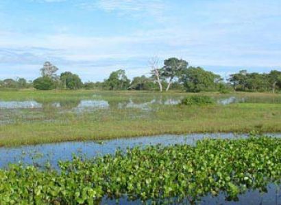 Iguassu - Pantanal Wetlands - Rio De Janeiro Tour